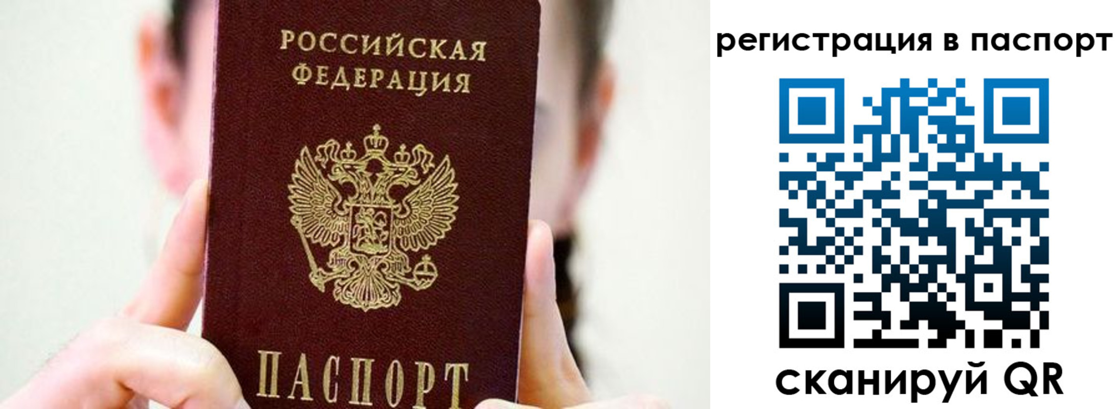 прописка в Владимире